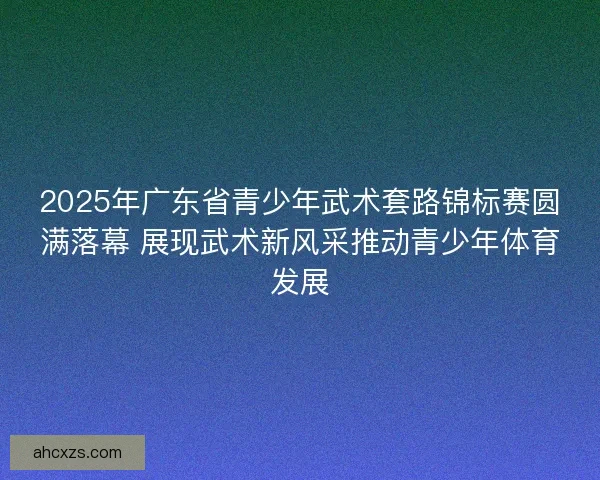 2025年广东省青少年武术套路锦标赛圆满落幕 展现武术新风采推动青少年体育发展